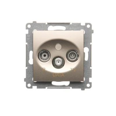 Prise R-TV-DATA (module) or (métallique)