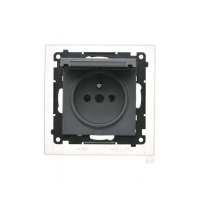 Prise Simon 55 WMDW-50123x-116 pour version IP44 avec joint (module) 16 A, 250 V~, connecteurs rapides. Rabat couleur couvercle ; graphite mat