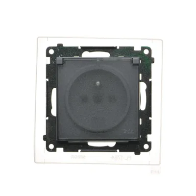 Prise Simon 55 WMDW-50123x-116A pour version IP44 avec joint (module) 16 A, 250 V~, connecteurs rapides. Rabat transparent ; graphite mat