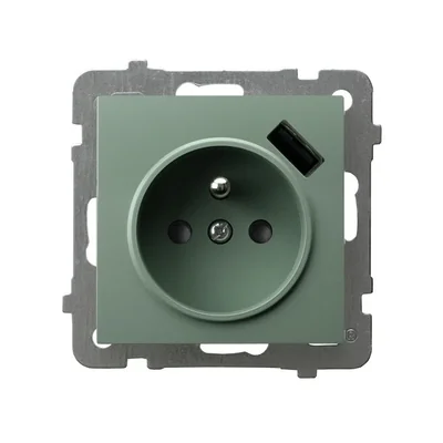 Prise simple AS avec mise à la terre et obturateurs de chemin de courant avec chargeur USB, vert mat