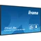 Profesjonalny monitor Digital Signage iiyama ProLite LH4375UHS-B1AG 43” 4K UHD IPS LED, 24/7, Android, iiSignage²