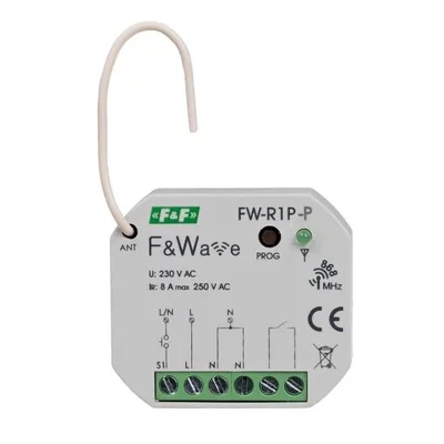 Programmed set FW-R1P-P + FW-WSO2