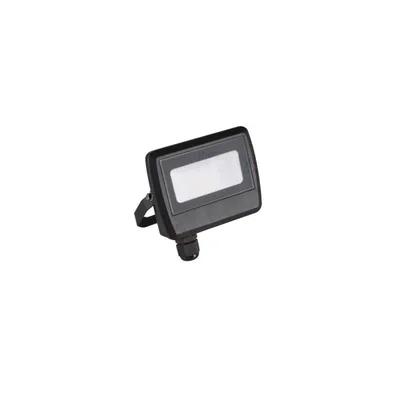Projecteur LED ANTENM 10W-NW B