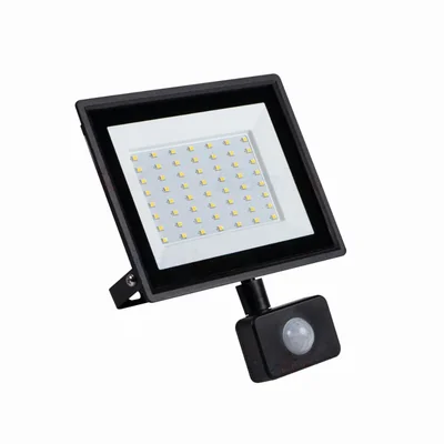 Projecteur LED GRUN NV LED-50-B-SE