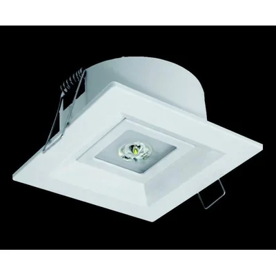 PROJET D'URGENCE LUMINAIRE LVPC/1W/B/1/SE/AT/WH