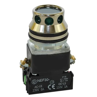 PROMET NEF30-KL2X/24V grüner Knopf