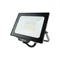Proyector LED NL-1 30W 6500K 2700lm IP65