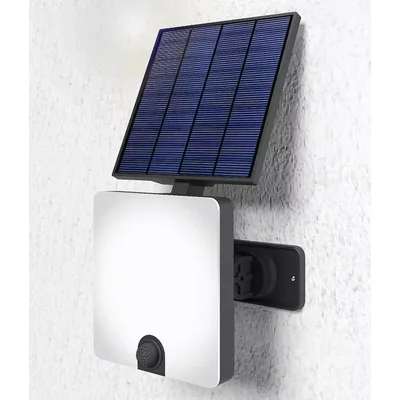 Proyector reg solar 1.1W 800lm 3.7Vx2000mAh 860 IP44 sensor 5.5V