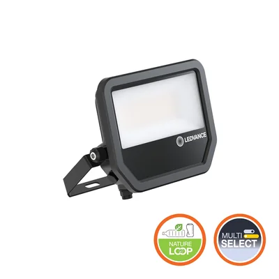 Прожектор FLOODLIGHT 50 41W 6KLM 865 PS SY100 BK