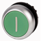 Przycisk płaski z samopowrotem, kolor zielony 1, M22-D-G-X1