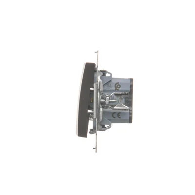 Pulsador ciego 16AX 250V, marrón mate