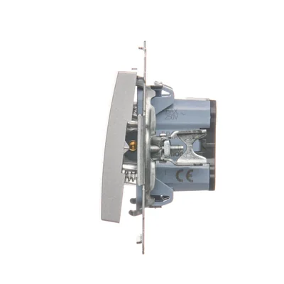 Pulsador de contacto simple sin pictograma (módulo) 16A 250V terminales de tornillo plateado (metálico)