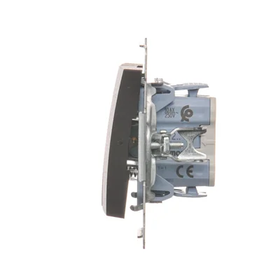 Pulsante doppio contatto senza pittogramma (modulo) 230 V, bronzo opaco metallizzato