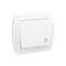 Pulsante luminoso 10A 250V morsetti a vite bianco