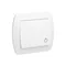 Push button light 10A 250V screw terminals white