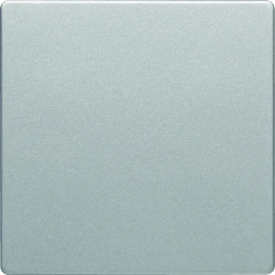 Q.1/Q.3 1fach-Taster, Alu-Samt für Tastdimmer, Berker.Net Schaltgeräte und Steuergeräte, lackiert