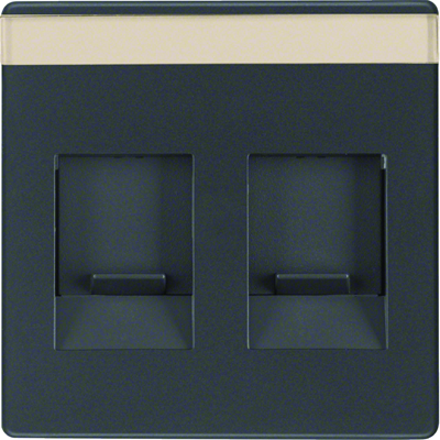 Q.1/Q.3 2-fold face plate with dust-proof sliders anthracite