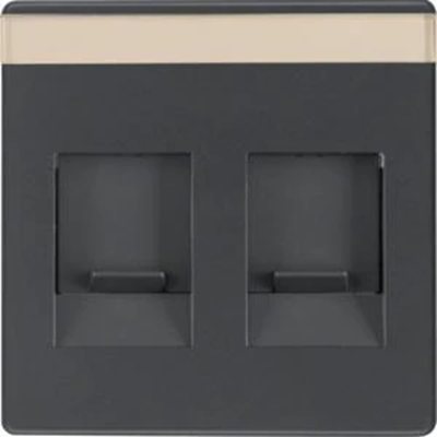 Q.1/Q.3 2-fold face plate with dust-proof sliders anthracite