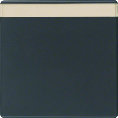 Q.1/Q.3 Anthracite velvet key with description field