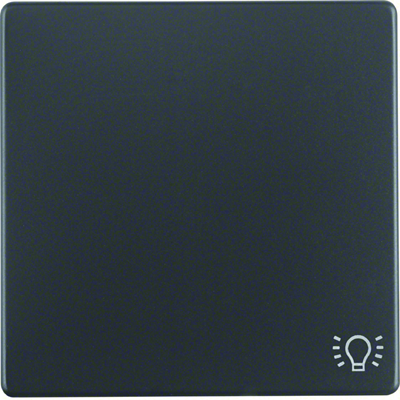 Q.1/Q.3 Anthracite velvet key with the "light" symbol printed on it