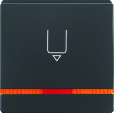 Q.1/Q.3 Cap with a print and a lens for the hotel card connector anthracite
