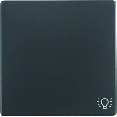 Q.1/Q.3 Chiave con stampa simbolo "luce", antracite, velluto
