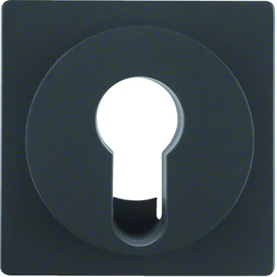 Q.1/Q.3 Face plate for anthracite velvet key switch