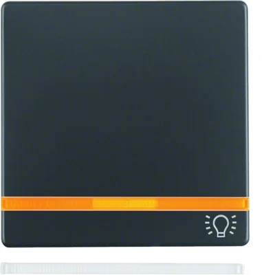 Q.1/Q.3 Key con 2 lentes y símbolo "luz" estampado terciopelo antracita