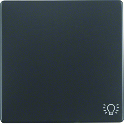 Q.1/Q.3 Llave con símbolo "luz" estampado, antracita, terciopelo