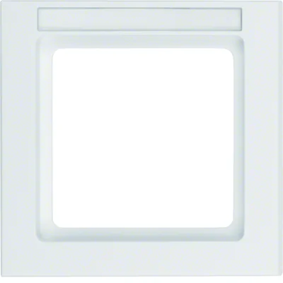 Q.3 Single frame with mechanism description field, snow-white velvet