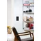 Q.7 Single anthracite velvet lacquered frame