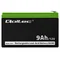 Qoltec AGM Battery | 12V | 9Ah | Maintenance-free | Efficient | LongLife | for UPS, security