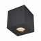 QUARDIP SL Black ceiling lamp