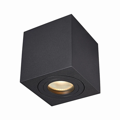 QUARDIP SL Lampa sufitowa czarna