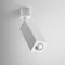QUPET mini LED Black exposition ceiling lamp