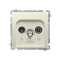 R-TV-DATA-Buchse (Modul) beige