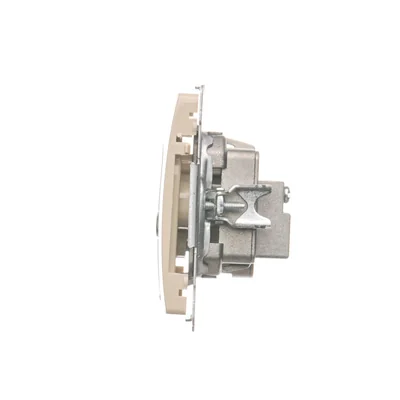 R-TV-DATA-Buchse (Modul) beige