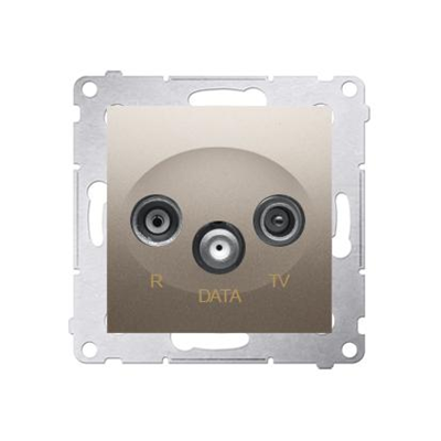 R-TV-DATA-Buchse (Modul) Gold (Metallic)