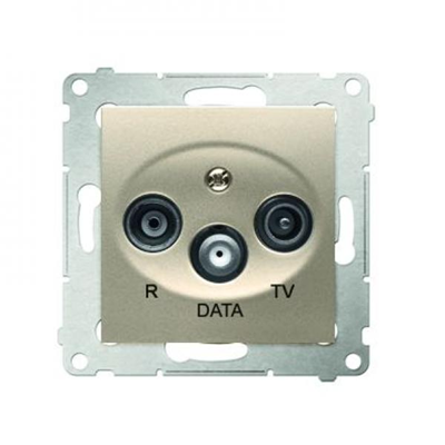 R-TV-DATA socket (module) gold (metallic)