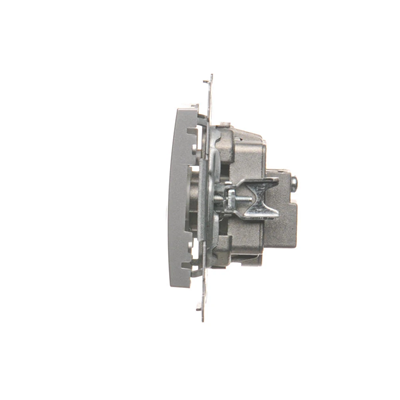 R-TV-DATA socket (module) silver (metallic)