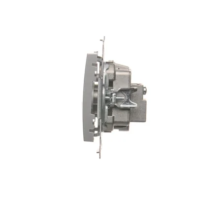 R-TV-DATA socket (module) silver (metallic)