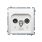 R-TV-DATA socket (module) white