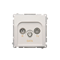 R-TV-DATA socket (module) white