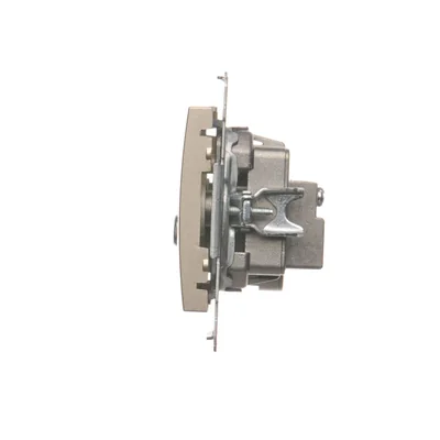 R-TV-SAT-Terminal/Endantennenbuchse (Modul) Gold (Metallic)