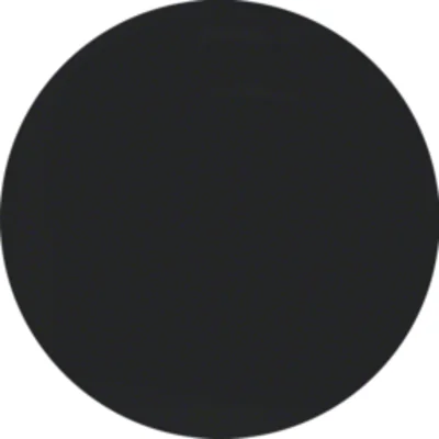 R.1/R.3 Čelní deska s knoflíkem pro otočný stmívač, černá