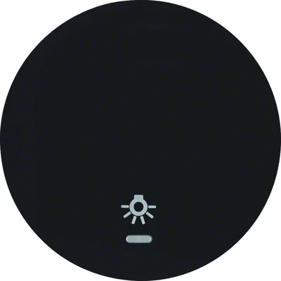 R.1/R.3 Ein Schalter mit einer Linse und einem Aufdruck des „Licht“-Symbols, glänzend schwarz