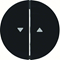 R.1/R.3 Keys with "arrow" symbol imprinted black