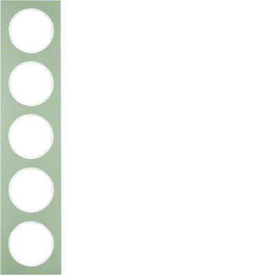 R.3 Frame 5-gang stainless steel/white