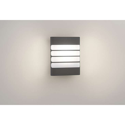 RACCOON anthracite LED wall lamp