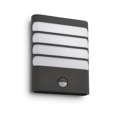 Raccoon Wall lamp black LED